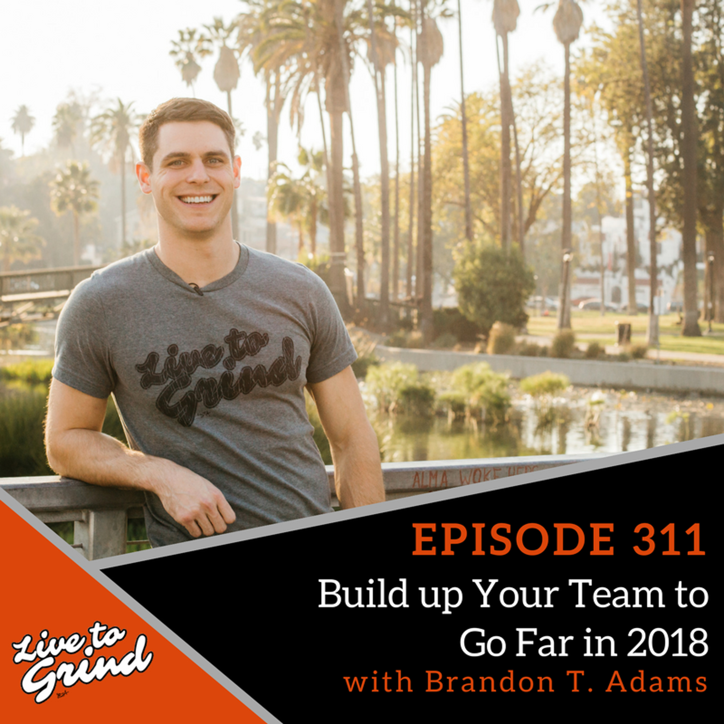 Ep 311  Build up Your Team to Go Far in 2018 with Brandon T. Adams episode artwork
