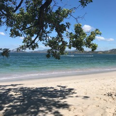 Pura Vida