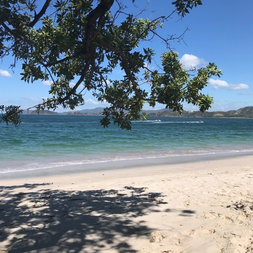 Pura Vida