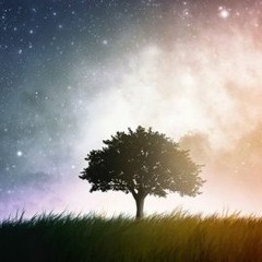 Norm - Dream