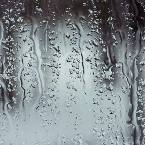 Rainy Days