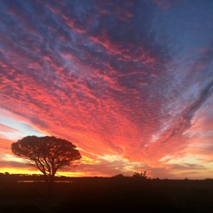 Christmas with a View