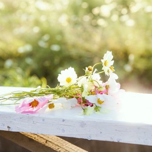 Stream ラブソング サンボマスター Cover By Rinyuka Listen Online For Free On Soundcloud