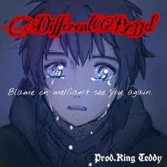 Different Br33d (Intro) - Blame On Me /I Cant See You Again