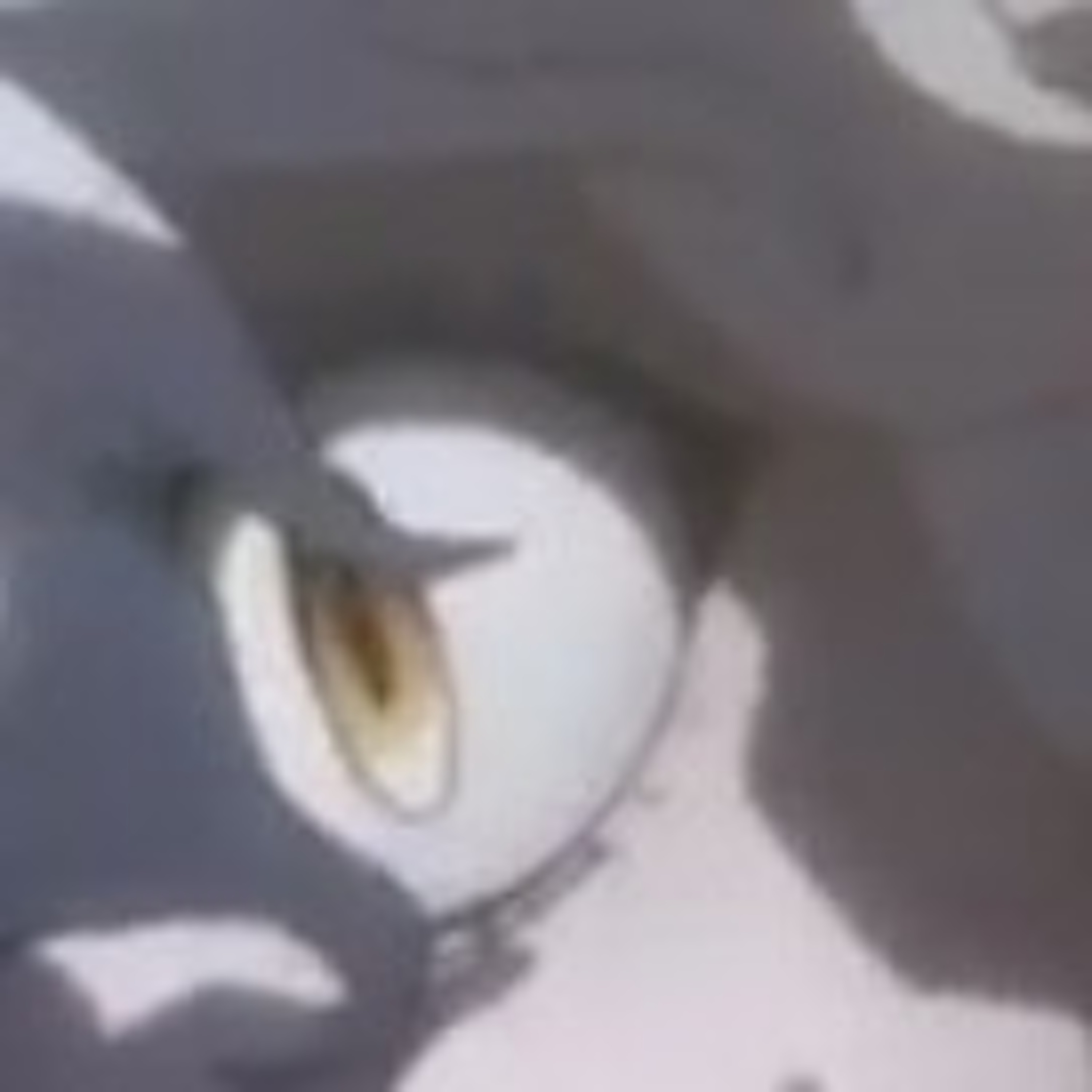Young Diety episode artwork