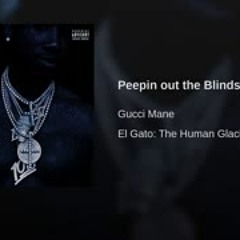 Peepin out the Blinds by Gucci mane