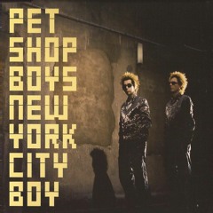 Pet Shop Boys - New York City Boy( DeNovia Parallax Dub )DN BMF 7008 11
