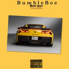 Bumble Bee -MOTORSPORT Freestyle