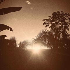 Reverberation #299