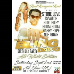 STONE LOVE LS SWATCH LS NUHGRAIN SOUND AT BLING DAWG BIRTHDAY PARTY  2ND SEPT 2017 PART 1