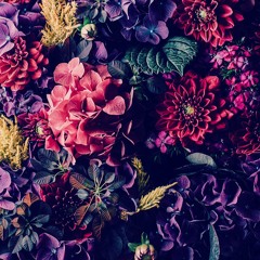 T R I P (lofi/hiphop&etc)