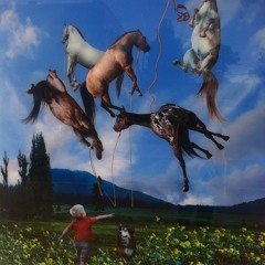 Cranberry Chocolate free