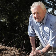 Attenborough And The Empire Of The Ants - Titles