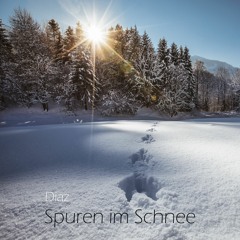 Spuren im Schnee
