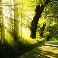 Positive Energy Music - Emotional & Physical Healing - Free from Anger
