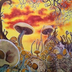 Chunky Prog Remixes
