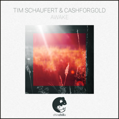 Tim Schaufert & CASHFORGOLD - Awake