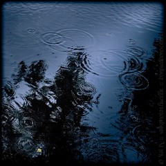 Le linge et le ruisseau