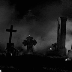 Coffin in the cemetery