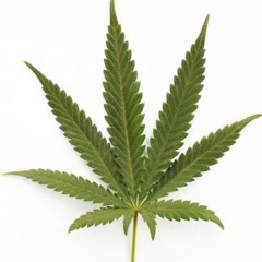 MTG - EU GOSTO ELA TAMBEM GOSTA DE FUMAR MACONHA (XANDINHO DEEJAY)