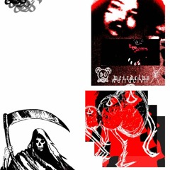 ERIC NORTH - Zirus Wing Riot Spring