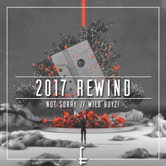 not sorry & Wild Boyz! - 2017 Rewind