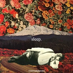 Sleep Vol. 8 [tracklist in description]