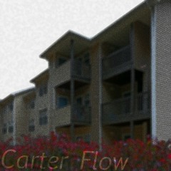 Carter Flow