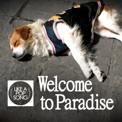 Welcome To Paradise (Green Day cover)