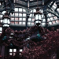 Lost In The Woods by Derek Howe (Clouded Judgement Demo)