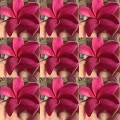 boqoy nge buw ni babay
