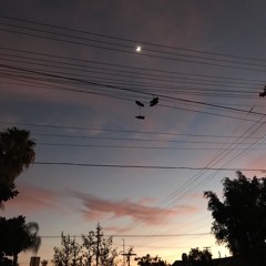 hangout with you (diners cover)