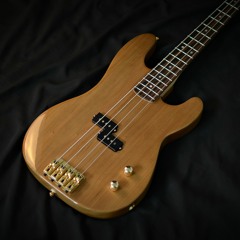 Bass Base - Nesher PB DLC - Malagoli Custom 63 - Valter Bergamo