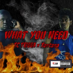 Lil TC Trigga x Xantana - What You Need
