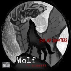 Wolf ft. Biggsss - For My Shooters