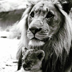 Shadow - Be Alright ft. JayTee & D'BayBe (prod. by YOUNG TAYLOR)