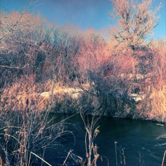 Knockin' On Heaven's Door (Cover)