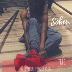 Tree - Sober
