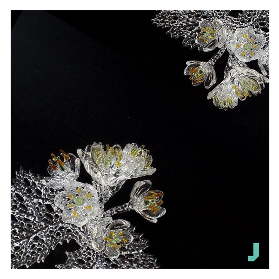 Stream Diphylleia Grayi 산하엽 Skeleton Flower (English Ver