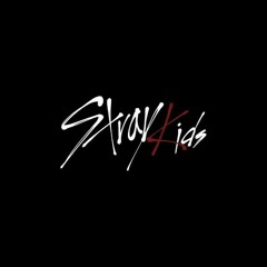 Stray Kids [최종회] 7인 Stray Kids 어린날개♬ @ FINAL MISSION 171219 EP.10.mp3