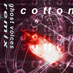 Virtual Self - ghost voices (cotton remix)
