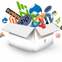 Best Web Development Company