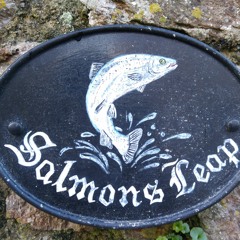 The Salmon's Leap / Naid yr Eog
