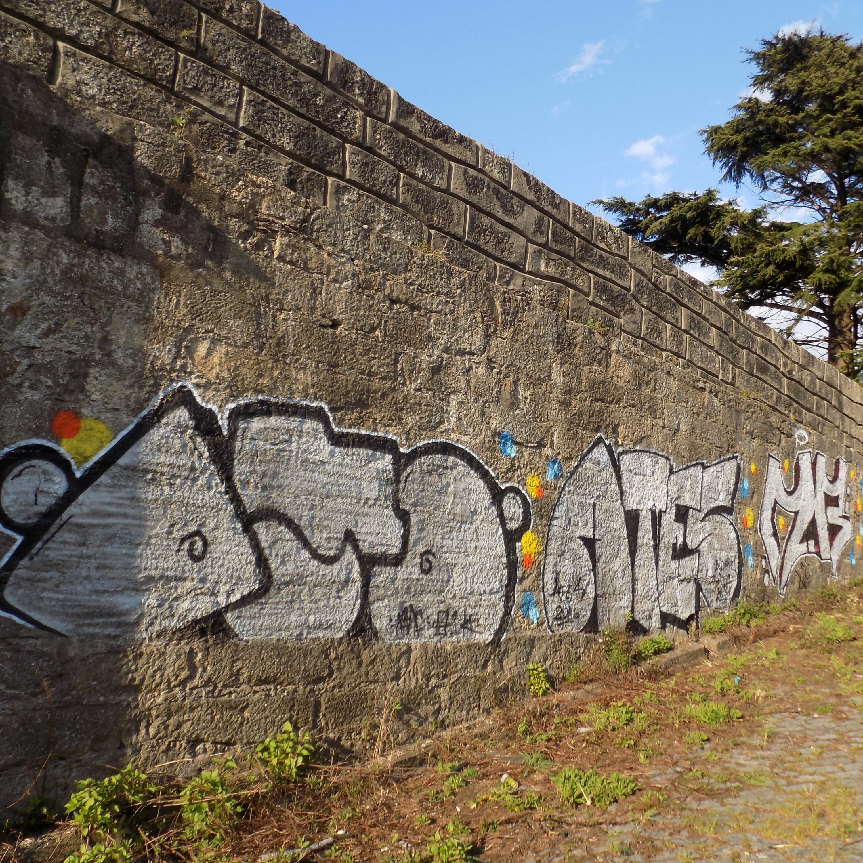 xmc