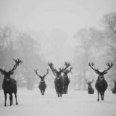 Last Chapter - December 17