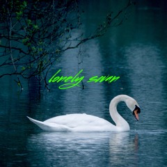 SEmS - lonely swan ( original)