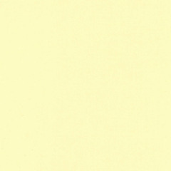 tokyo yellow