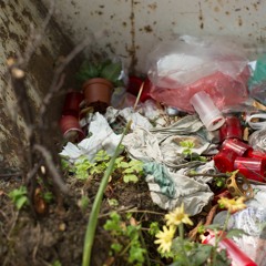 live with Chris LiButti at Mirror in the Woods, Brooklyn 12/15/17