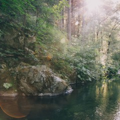 Lyricless Electronic