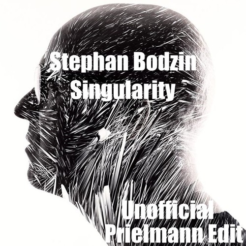 Stephan Bodzin - Singularity (Unofficial Prielmann Edit)